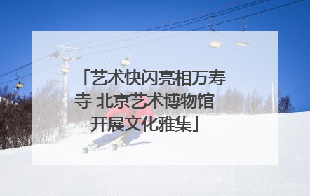 艺术快闪亮相万寿寺 北京艺术博物馆开展文化雅集