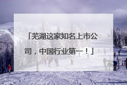 芜湖这家知名上市公司，中国行业第一！
