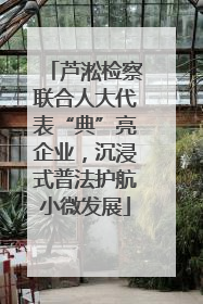 芦淞检察联合人大代表“典”亮企业，沉浸式普法护航小微发展