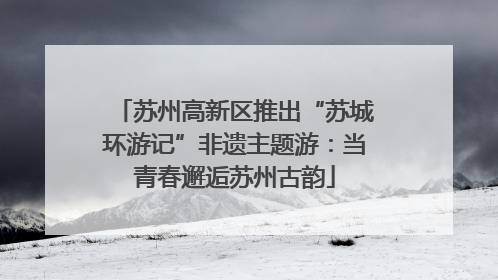 苏州高新区推出“苏城环游记”非遗主题游：当青春邂逅苏州古韵