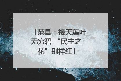 范县：接天莲叶无穷碧 “民主之花”别样红