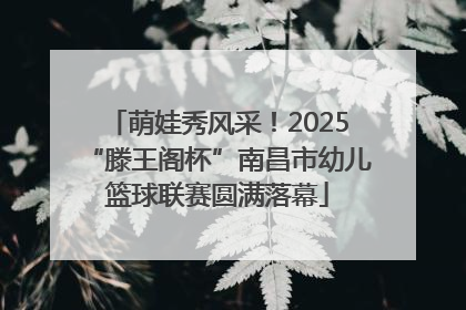 萌娃秀风采！2025“滕王阁杯”南昌市幼儿篮球联赛圆满落幕