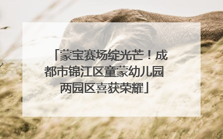 蒙宝赛场绽光芒！成都市锦江区童蒙幼儿园两园区喜获荣耀