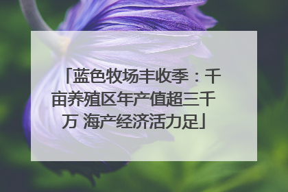 蓝色牧场丰收季：千亩养殖区年产值超三千万 海产经济活力足
