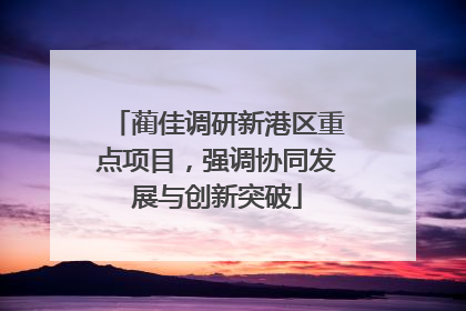 蔺佳调研新港区重点项目，强调协同发展与创新突破