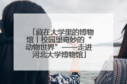 藏在大学里的博物馆丨校园里奇妙的“动物世界”——走进河北大学博物馆