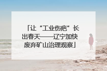 让“工业伤疤”长出春天——辽宁加快废弃矿山治理观察