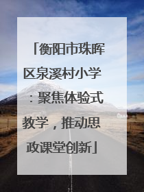 衡阳市珠晖区泉溪村小学：聚焦体验式教学，推动思政课堂创新