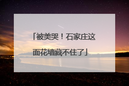 被美哭！石家庄这面花墙藏不住了