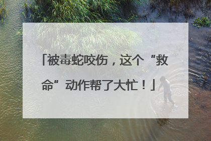 被毒蛇咬伤，这个“救命”动作帮了大忙！