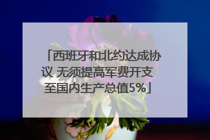 西班牙和北约达成协议 无须提高军费开支至国内生产总值5%