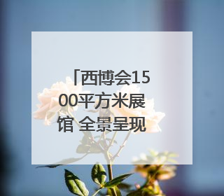 西博会1500平方米展馆 全景呈现广安产业“建圈强链”｜西博视界