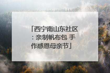 西宁南山东社区：亲制帆布包 手作感恩母亲节