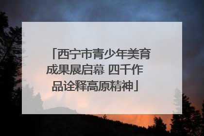 西宁市青少年美育成果展启幕 四千作品诠释高原精神