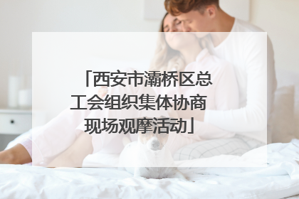 西安市灞桥区总工会组织集体协商现场观摩活动