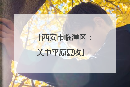 西安市临潼区：关中平原夏收