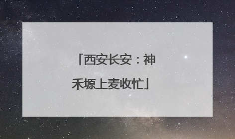 西安长安：神禾塬上麦收忙