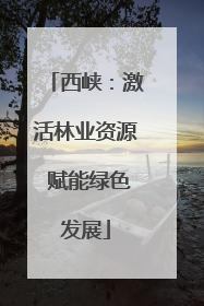 西峡：激活林业资源 赋能绿色发展