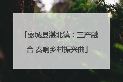 襄城县湛北镇：三产融合 奏响乡村振兴曲