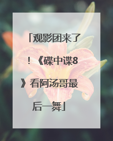 观影团来了！《碟中谍8》看阿汤哥最后一舞