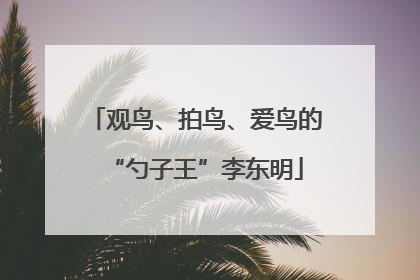 观鸟、拍鸟、爱鸟的“勺子王”李东明