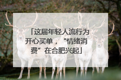 这届年轻人流行为开心买单，“情绪消费”在合肥兴起