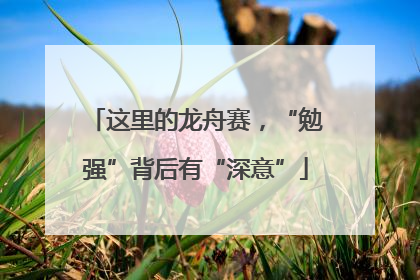这里的龙舟赛，“勉强”背后有“深意”