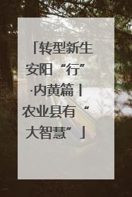 转型新生安阳“行”·内黄篇丨农业县有“大智慧”