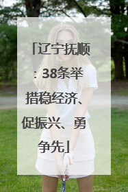 辽宁抚顺：38条举措稳经济、促振兴、勇争先