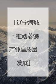 辽宁海城：推动菱镁产业高质量发展