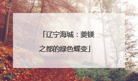 辽宁海城：菱镁之都的绿色蝶变