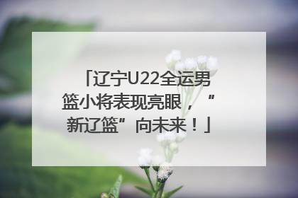 辽宁U22全运男篮小将表现亮眼，“新辽篮”向未来！