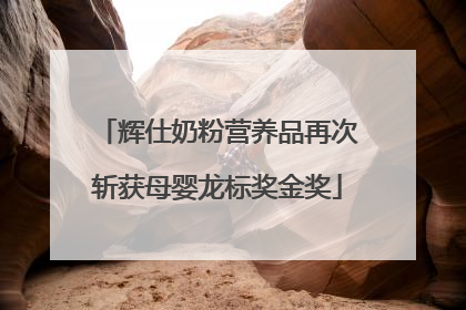 辉仕奶粉营养品再次斩获母婴龙标奖金奖