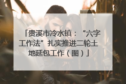 贵溪市冷水镇：“六字工作法”扎实推进二轮土地延包工作（图）