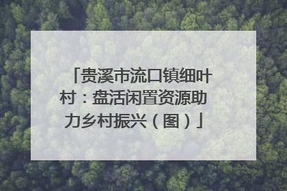 贵溪市流口镇细叶村：盘活闲置资源助力乡村振兴（图）