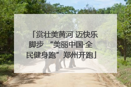 赏壮美黄河 迈快乐脚步 “美丽中国·全民健身跑”郑州开跑