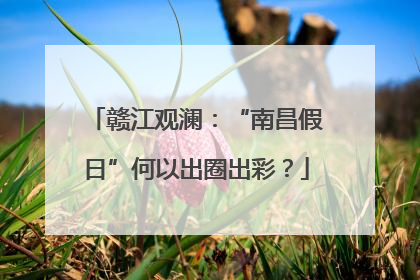 赣江观澜：“南昌假日”何以出圈出彩？