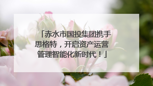 赤水市国投集团携手思格特，开启资产运营管理智能化新时代！