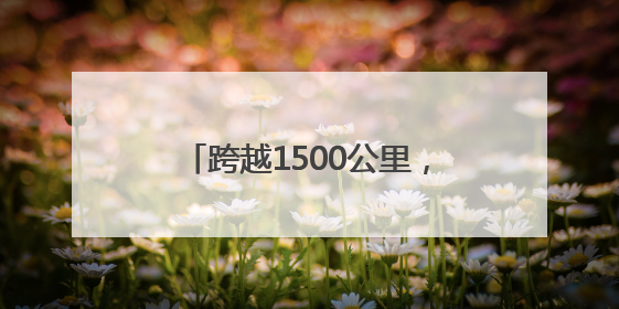 跨越1500公里，奥森龙形水系迎来湖南益阳双桡龙舟表