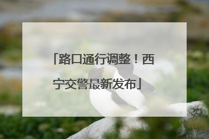 路口通行调整！西宁交警最新发布