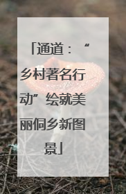 通道：“乡村著名行动”绘就美丽侗乡新图景
