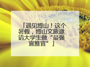 遇见博山！这个暑假，博山文旅邀请大学生做“最强宣推官”