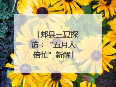 郏县三夏探访：“五月人倍忙”新解