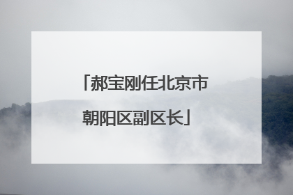 郝宝刚任北京市朝阳区副区长