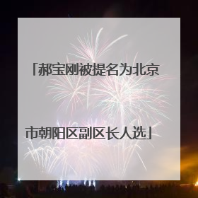 郝宝刚被提名为北京市朝阳区副区长人选