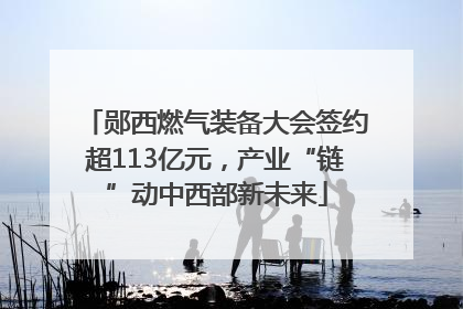郧西燃气装备大会签约超113亿元，产业“链”动中西部新未来