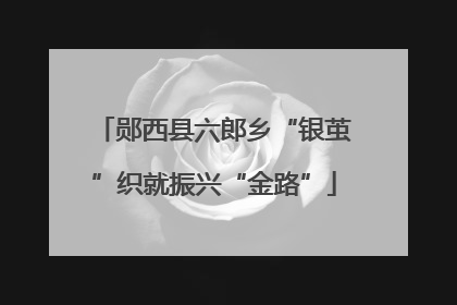郧西县六郎乡“银茧”织就振兴“金路”