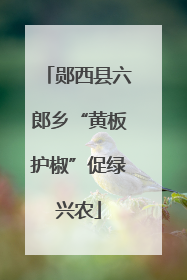 郧西县六郎乡“黄板护椒”促绿兴农