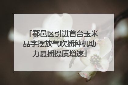 鄠邑区引进首台玉米品字摆放气吹播种机助力夏播提质增速