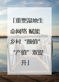 重塑湿地生命网络 赋能乡村“颜值”“产值”双提升